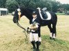 dressage horse Danny de Luca (Westphalian, 2001, from Danny de Vito 2)