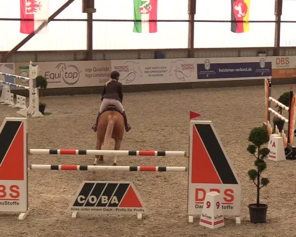 Nordic Jumping events 2018