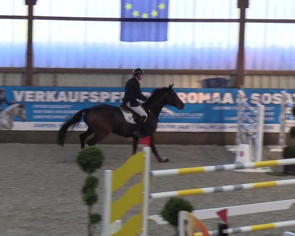 Nordic Jumping events 2018