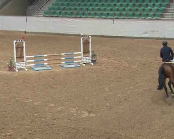 Reitturnier Kreuth 2018