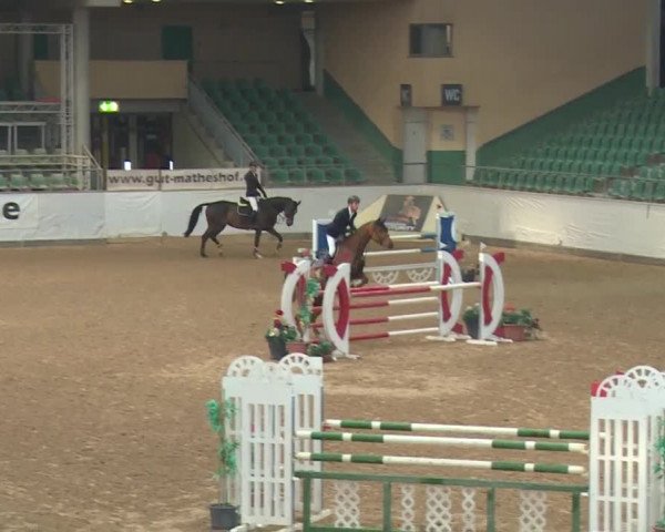 Reitturnier Kreuth 2018