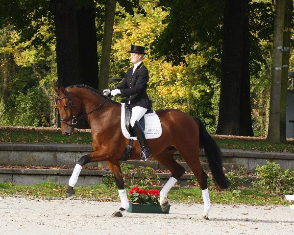 dressage horse Edisson (Westphalian, 2007, from Ehrentanz I)