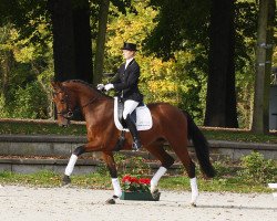 dressage horse Edisson (Westphalian, 2007, from Ehrentanz I)