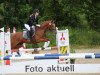 broodmare Nena 125 (German Riding Pony, 2007, from Top Nonstop)