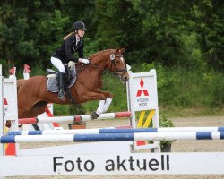 broodmare Nena 125 (German Riding Pony, 2007, from Top Nonstop)