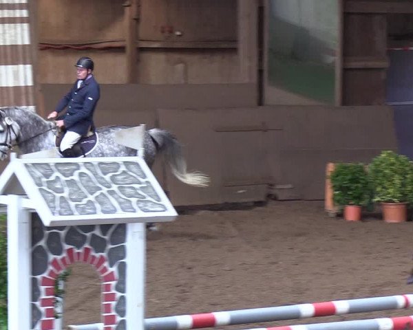 Reitturnier Hamburg-Hummelsbüttel 2018