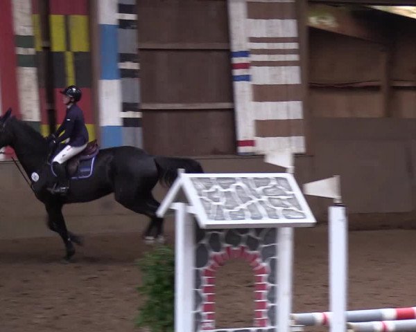 Reitturnier Hamburg-Hummelsbüttel 2018