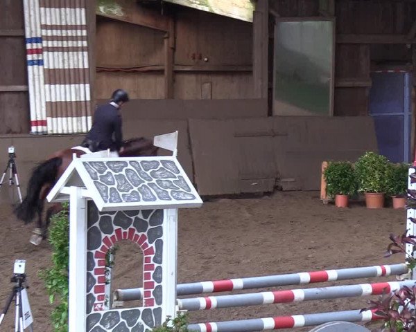 Reitturnier Hamburg-Hummelsbüttel 2018
