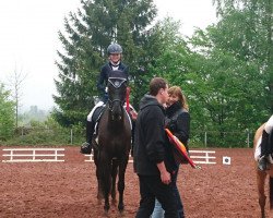 broodmare Power of Germans Glory (Zweibrücken, 2009, from Patriarch I)