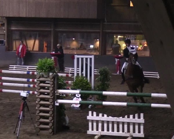 Reitturnier Hamburg-Hummelsbüttel 2018