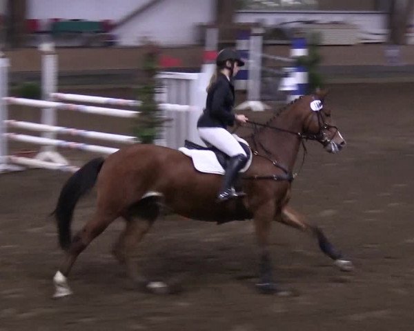 Reitturnier Hamburg-Hummelsbüttel 2018