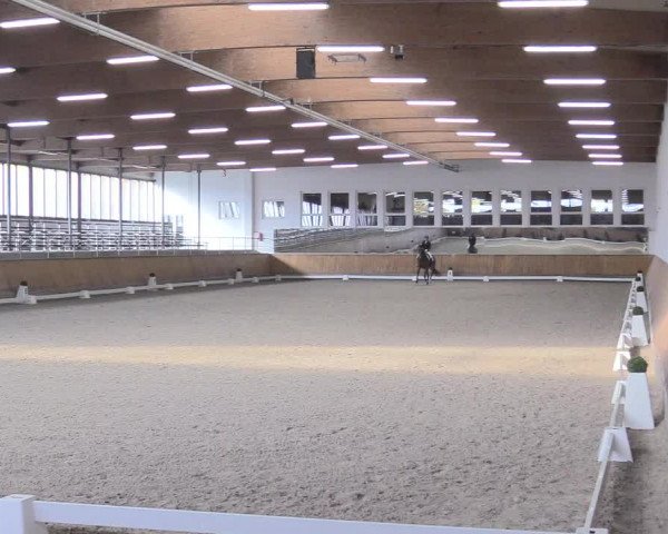 Reitturnier Freudenberg 2018