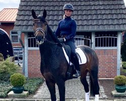 dressage horse Zehntes Gebot (Westphalian, 2018, from Zoom)