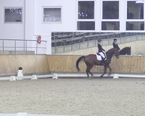 Reitturnier Freudenberg 2018