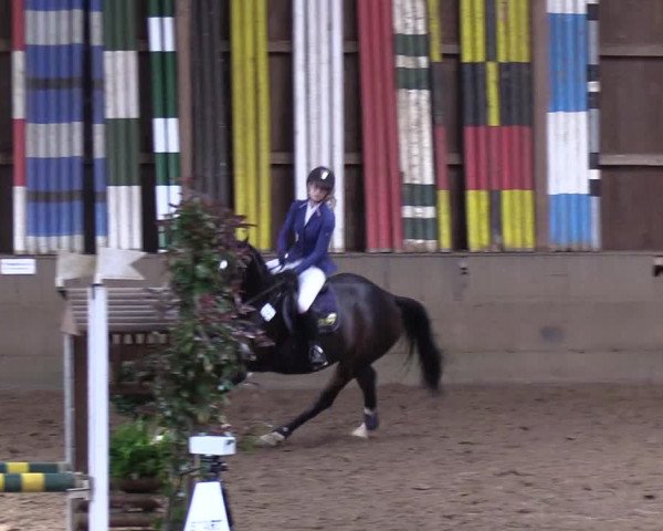 Reitturnier Hamburg-Hummelsbüttel 2018