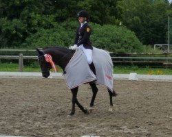 dressage horse Van der Tol (German Riding Pony, 2004, from Dream Valvet)