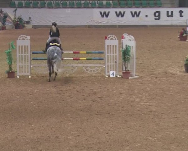 Reitturnier Kreuth 2018
