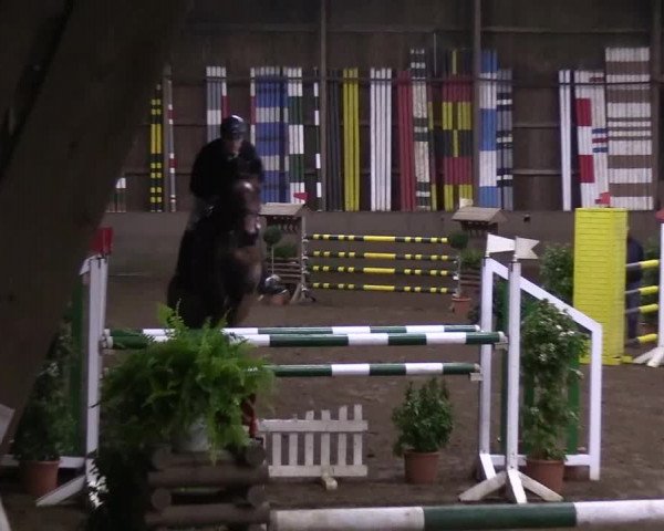 Reitturnier Hamburg-Hummelsbüttel 2018