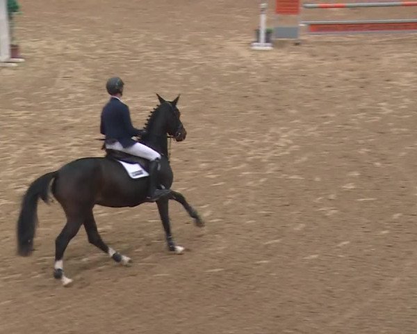 Reitturnier Kreuth 2018
