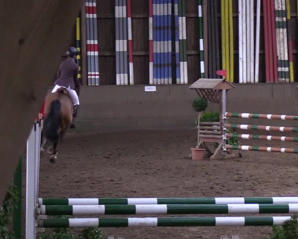 Reitturnier Hamburg-Hummelsbüttel 2018