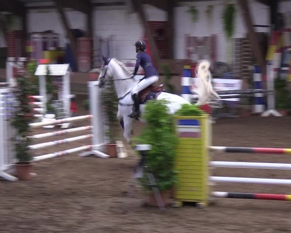 Reitturnier Hamburg-Hummelsbüttel 2018