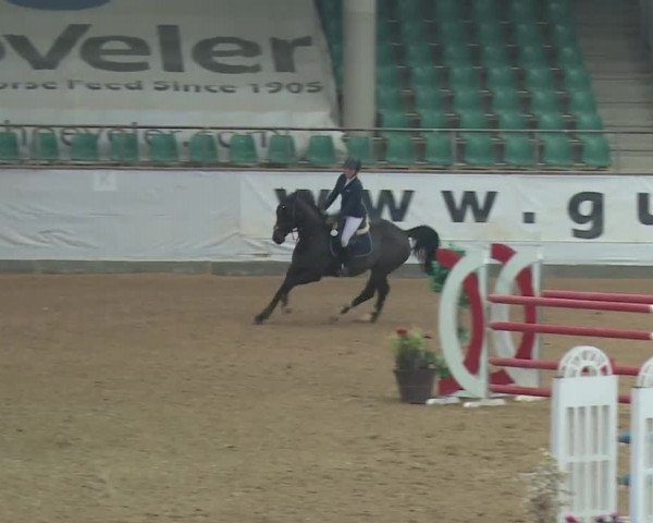 Reitturnier Kreuth 2018
