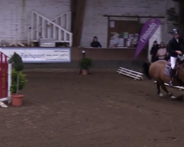 Reitturnier Hamburg-Hummelsbüttel 2018