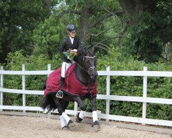 dressage horse Lobito Calling (Pony without race description, 2008, from Unbekannt PONY)