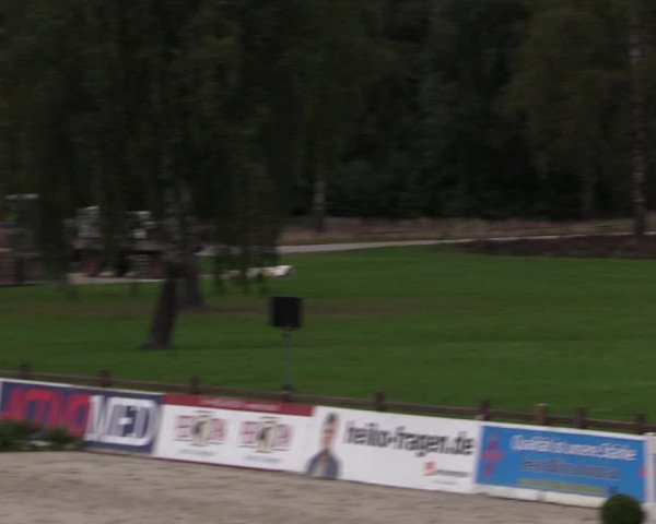 Reitturnier Westergellersen 2021