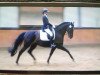 dressage horse Lord Littleton (Westphalian, 2010, from Lord Loxley I)