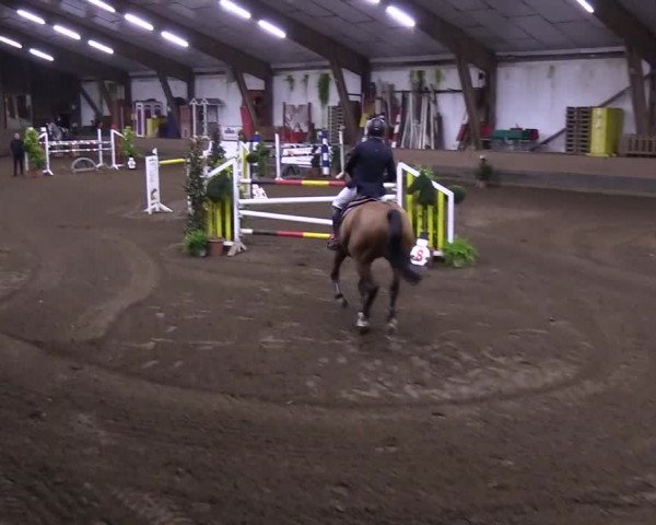 Reitturnier Hamburg-Hummelsbüttel 2018
