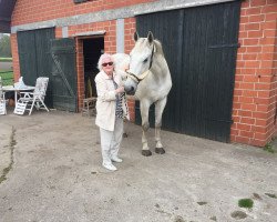 jumper Uhorn (KWPN (Royal Dutch Sporthorse), 2001, from Ohorn)