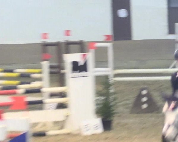 Reitturnier Vlotho-Valdorf 2018