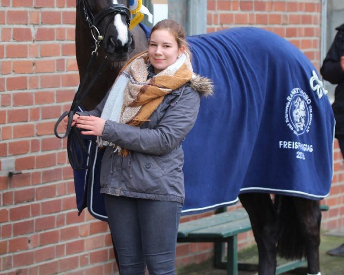 Pferd Gem's Esperanza KW (Hannoveraner, 2013, von Gem of India)