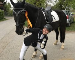 dressage horse Don Marengo (Oldenburg, 2002, from Depardieu 11)