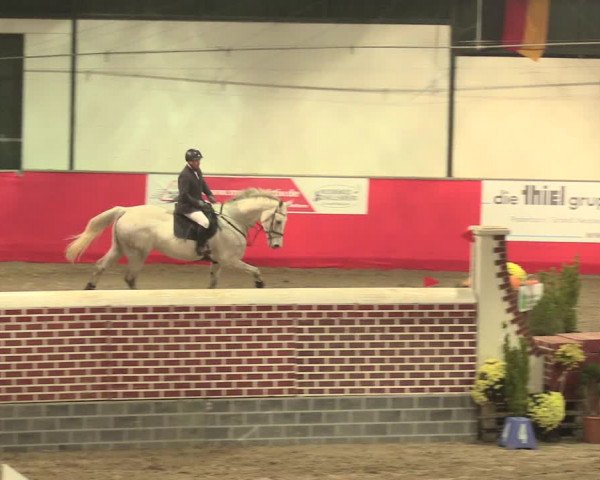 Salzkottener Pferdefestival 2018