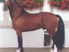 stallion Hallali (Freiberger, 2001, from Hendrix)