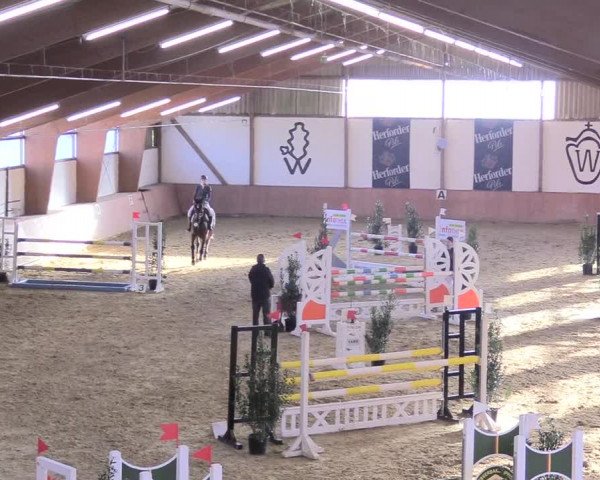 Reitturnier Bad Salzuflen 2018