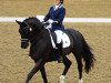 stallion Bodyguard Moorland (KWPN (Royal Dutch Sporthorse), 2006, from Gribaldi)