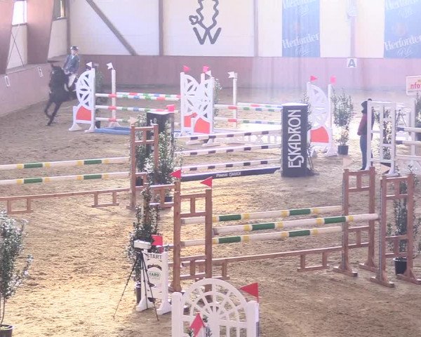 Reitturnier Bad Salzuflen 2018
