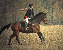 horse Eagle Eye Eric (Holsteiner, 2006, from Esteban xx)