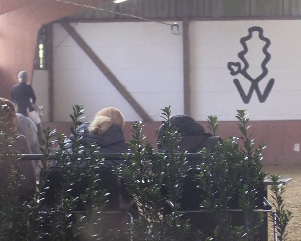 Reitturnier Bad Salzuflen 2018