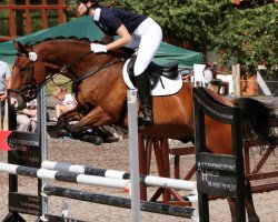 jumper Tequila 202 (Polish Warmblood, 2003, from Ludger)