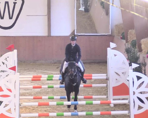 Reitturnier Bad Salzuflen 2018