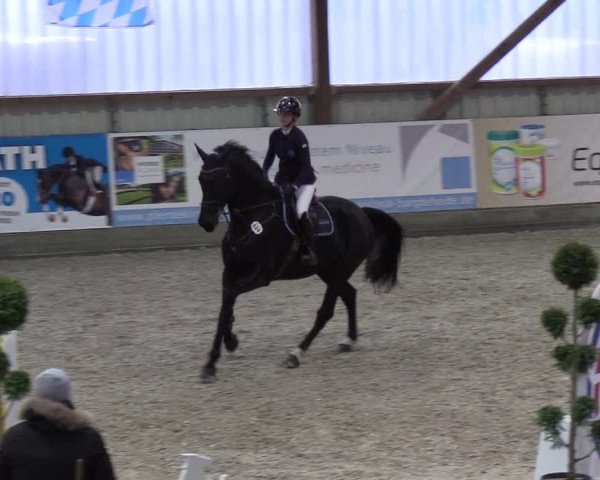 Nordic Jumping events 2018