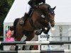 jumper Cayenn 3 (German Sport Horse, 2008, from Canterbury)