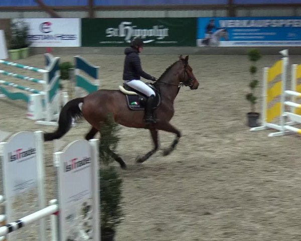 Nordic Jumping events 2018