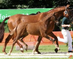 broodmare Another Angel BB (Rhinelander, 2012, from Abanos)