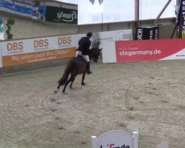 Nordic Jumping events 2018