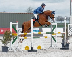 jumper Barnie PJ (Hanoverian, 2012, from Balou du Rouet)